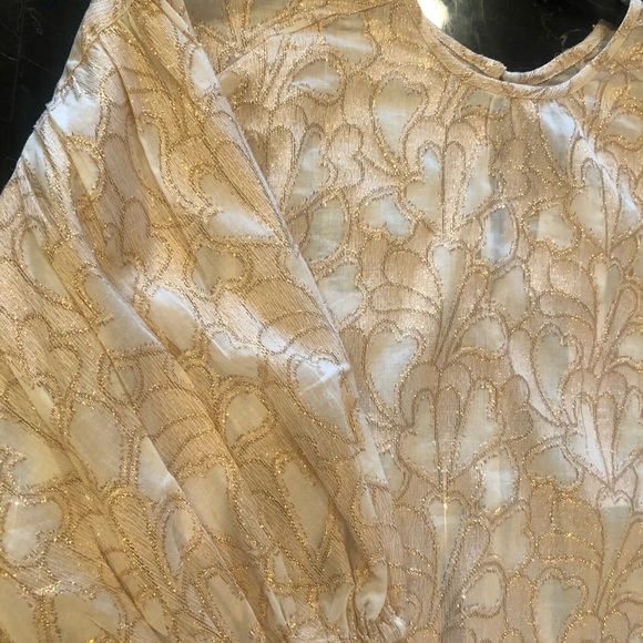 Elegant Crop Top - Picture 3 of 5